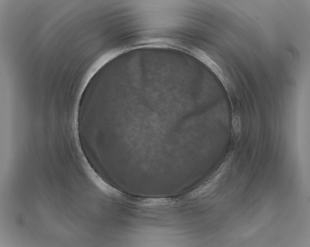 X0000112061482200908181147