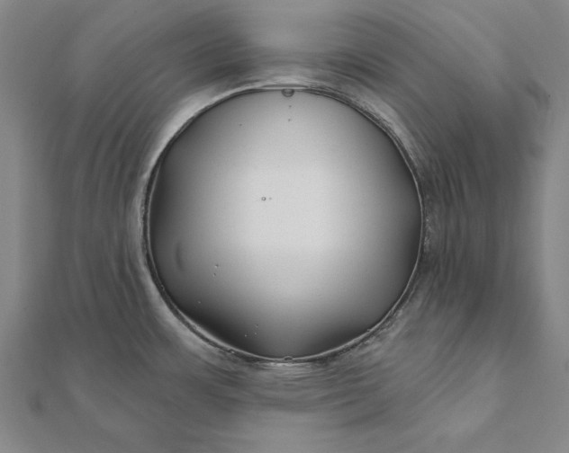 X0000112061483200908181147