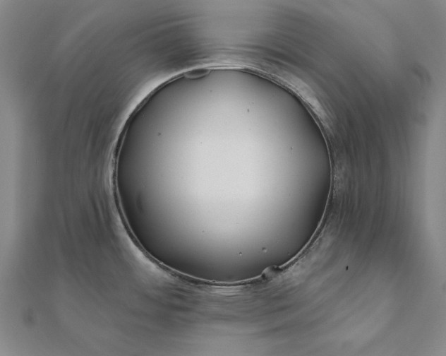 X0000112061484200908181147