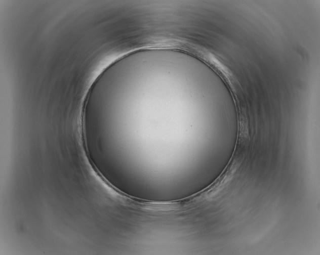 X0000112061487200908181147