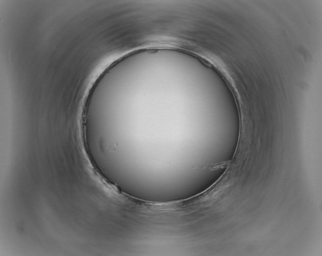 X0000112061488200908181147