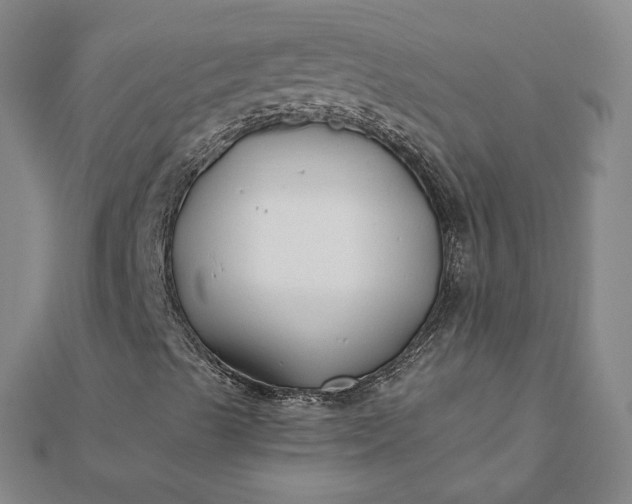 X0000112061489200908181146