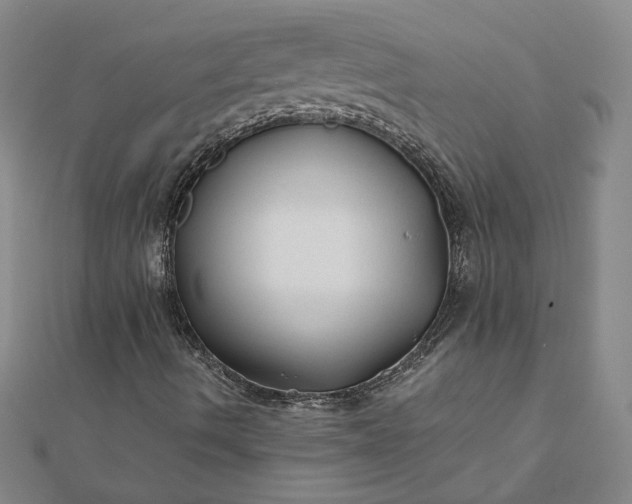 X0000112061490200908181146