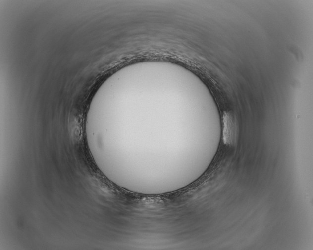 X0000112061491200908181146