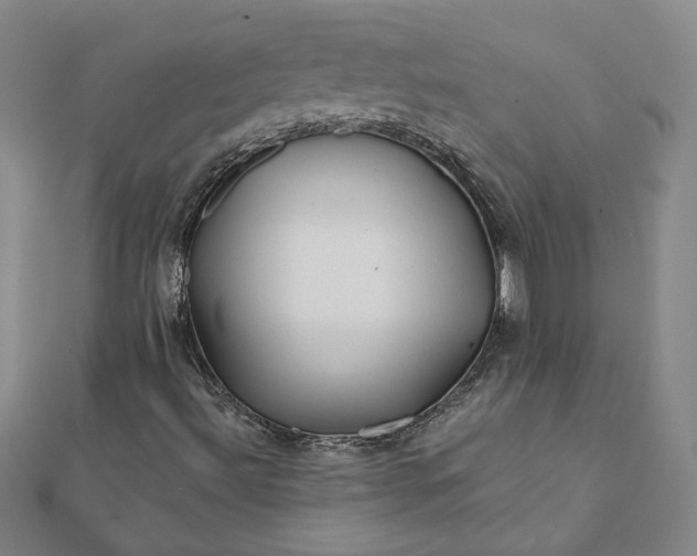 X0000112061492200908181146