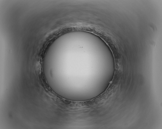 X0000112061493200908181146