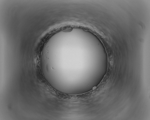 X0000112061495200908181146