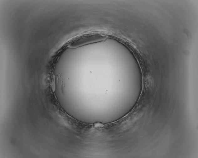 X0000112061496200908181146