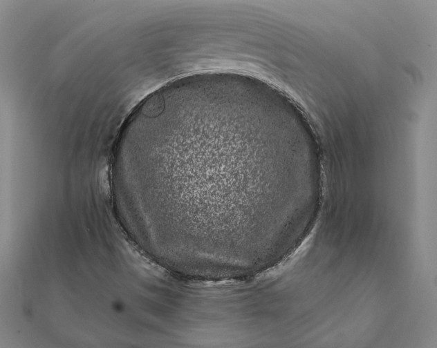 X0000112061497200908181146