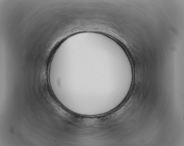 X0000112061498200908181146