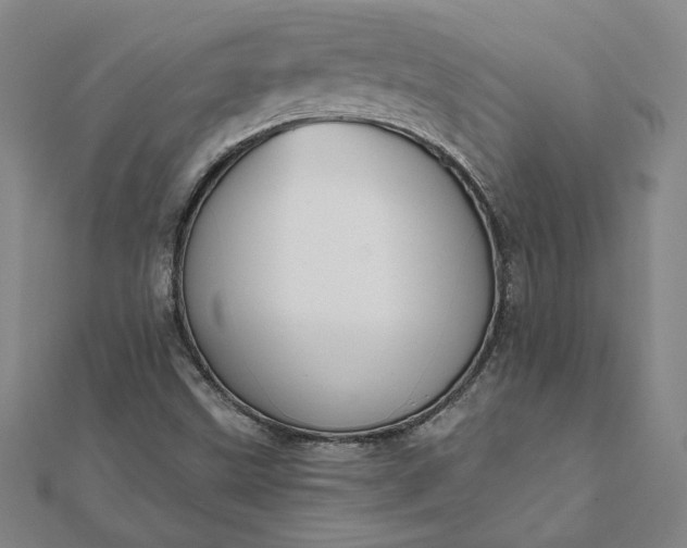 X0000112061499200908181146