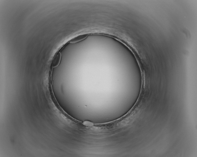 X0000112061500200908181146