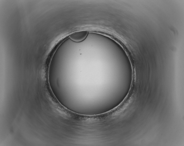 X0000112061501200908181146