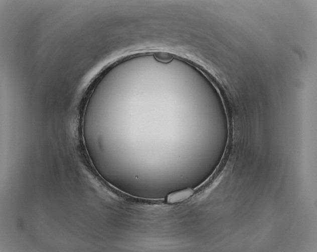 X0000112061502200908181146