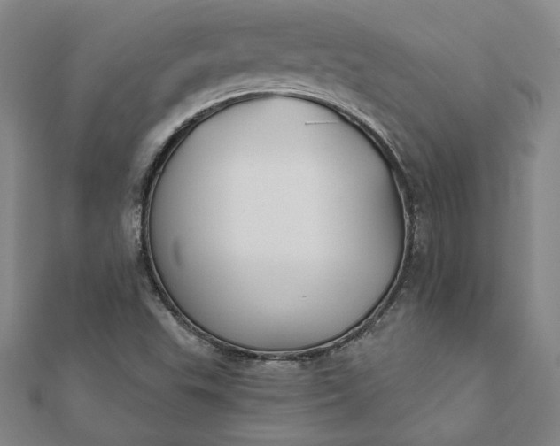 X0000112061503200908181146