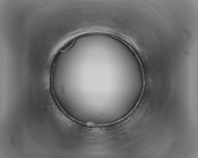 X0000112061504200908181146