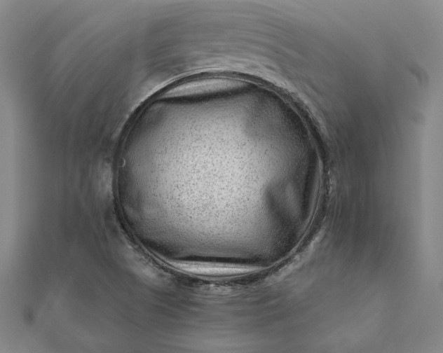 X0000112061505200908181146