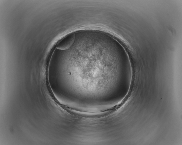 X0000112061506200908181146