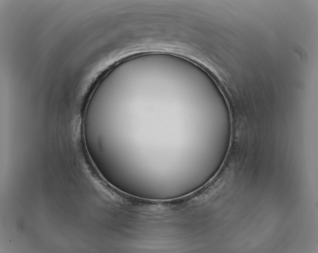 X0000112061507200908181147