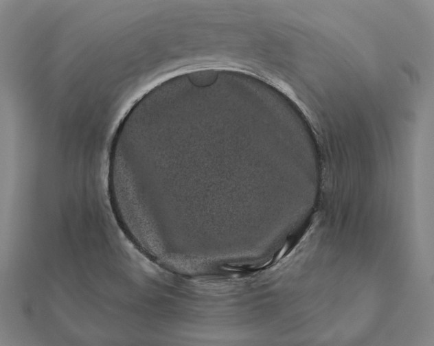 X0000112061508200908181147