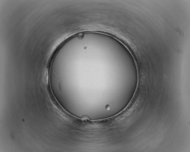 X0000112061509200908181147