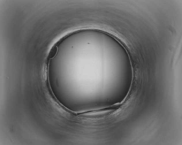 X0000112061510200908181147