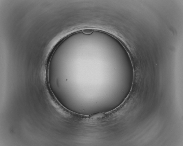 X0000112061511200908181147