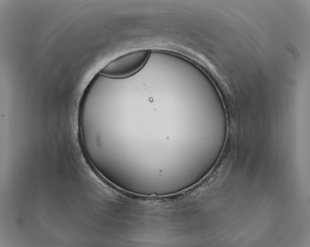 X0000112061512200908181147