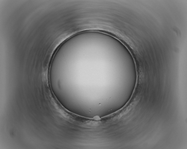 X0000112061513200908181147