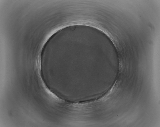 X0000112061515200908181147