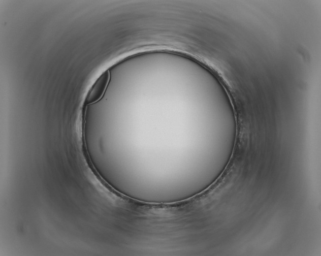 X0000112061516200908181147