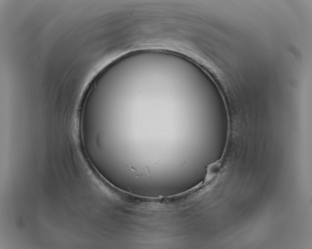 X0000112061517200908181147