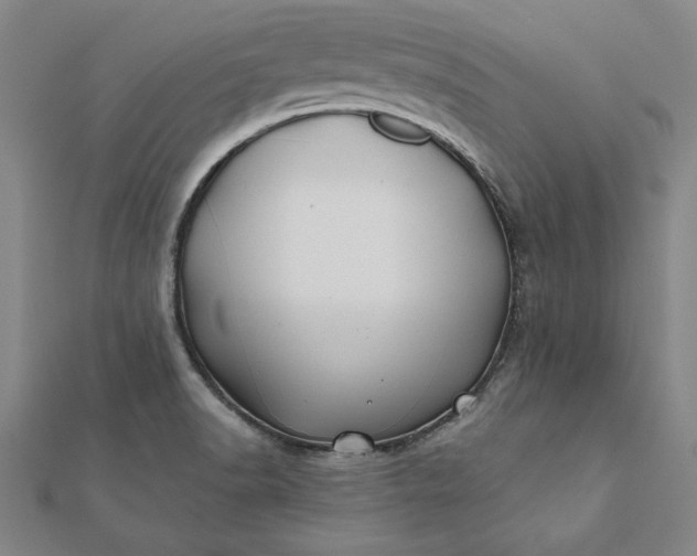 X0000112061518200908181147