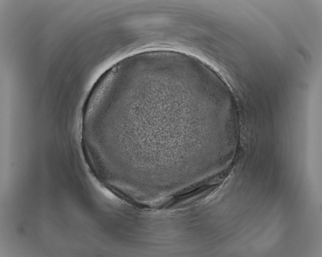 X0000112061519200908181147