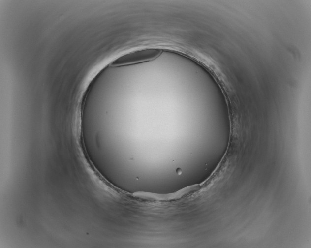 X0000112061520200908181147