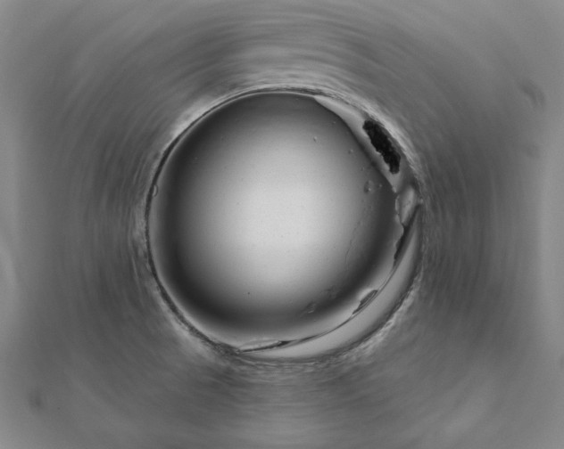 X0000112061521200908181147