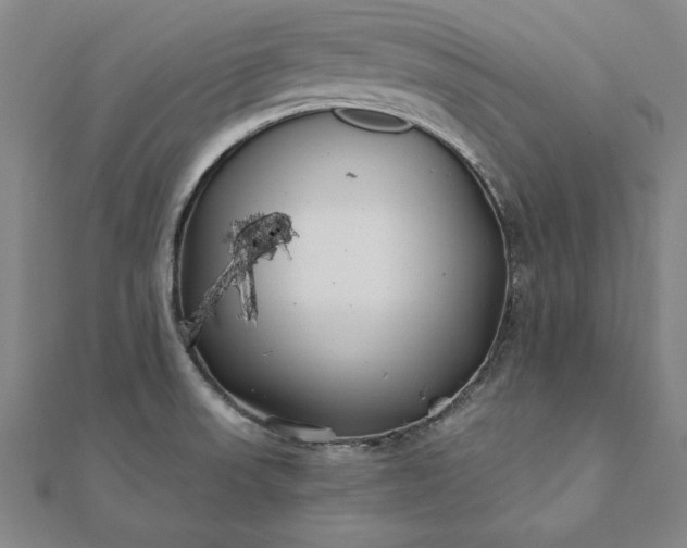 X0000112061523200908181147