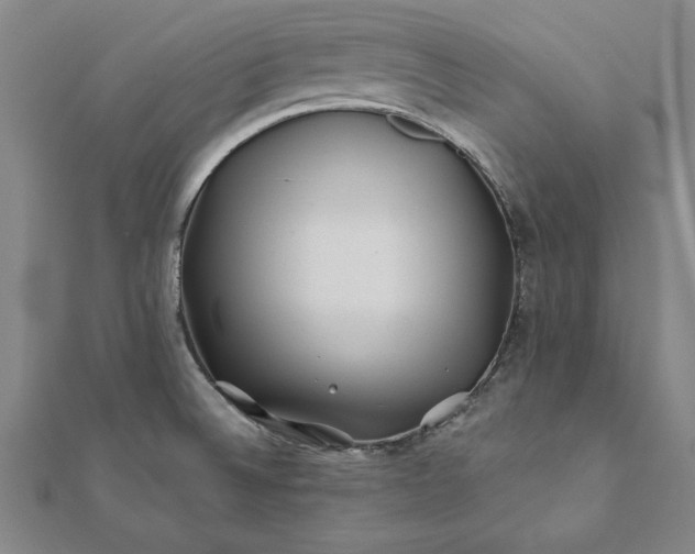 X0000112061524200908181147