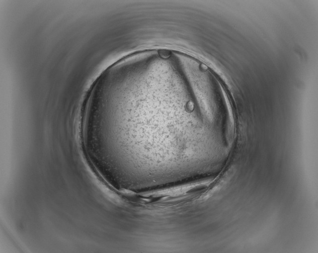 X0000112061525200908181147