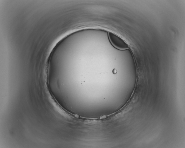 X0000112061526200908181147