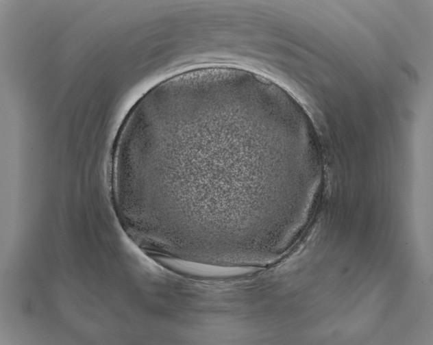 X0000112061527200908181147