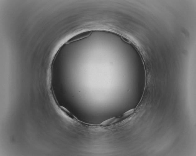 X0000112061528200908181147