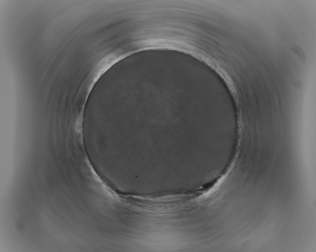 X0000112061529200908181147