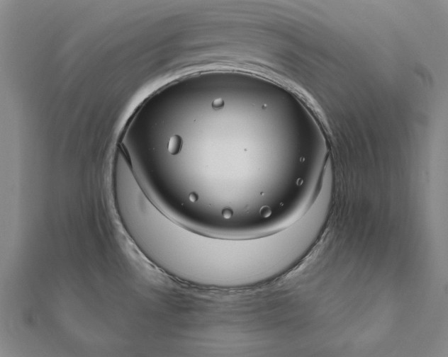 X0000112061530200908181147