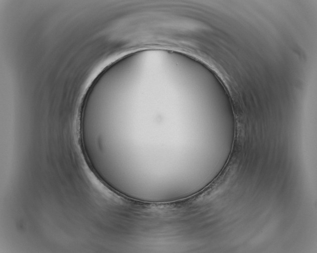 X0000112061531200908181147