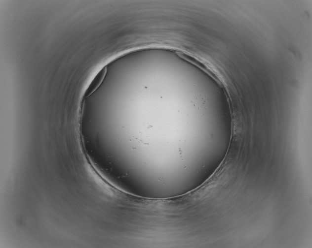 X0000112061532200908181147