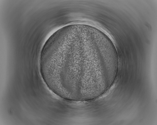 X0000112061533200908181147