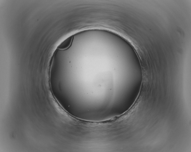 X0000112061534200908181147