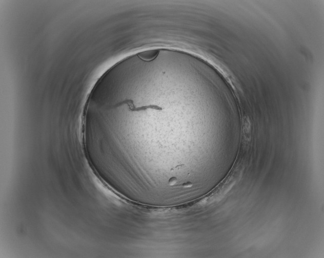 X0000112061535200908181147