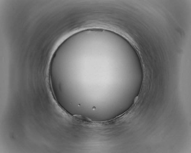 X0000112061536200908181147